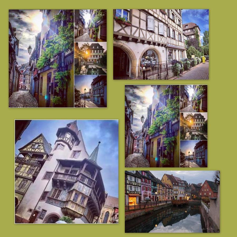 N¨°1 Schongauer Gite De Charme Centre Touristique Colmar Exteriér fotografie