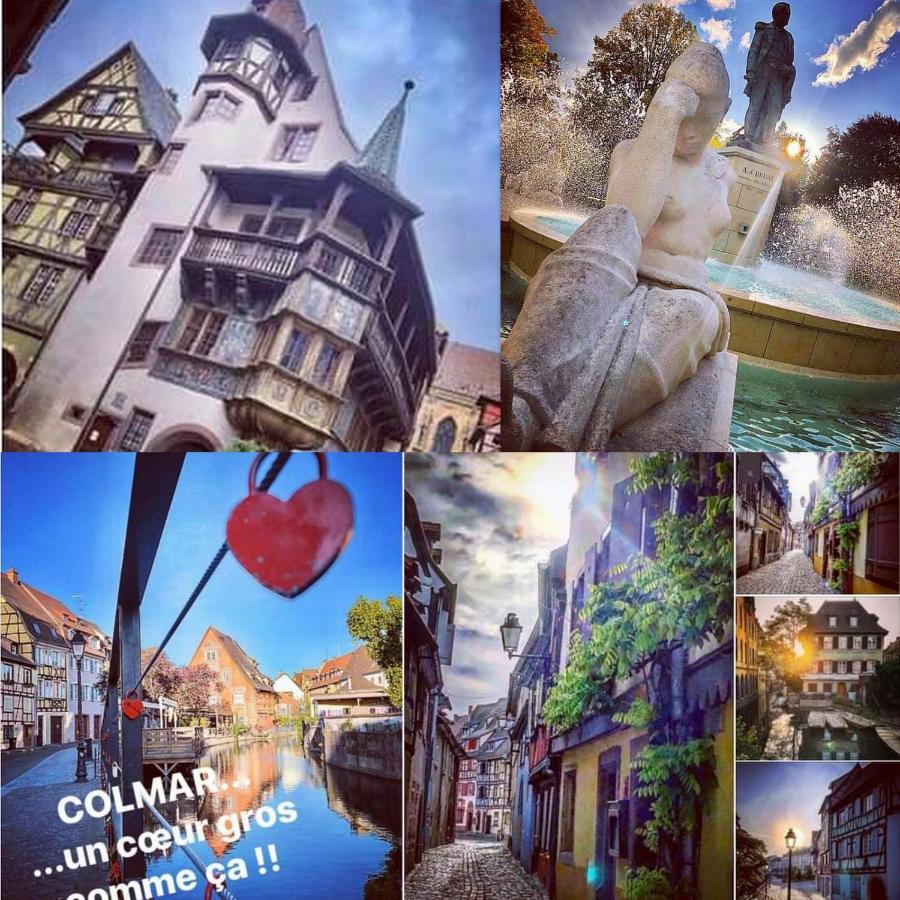 N¨°1 Schongauer Gite De Charme Centre Touristique Colmar Exteriér fotografie